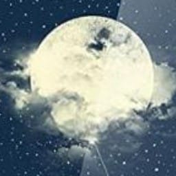 bevrt profile photo